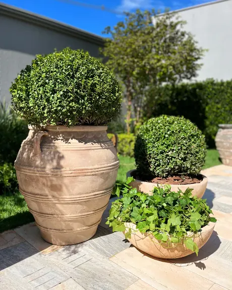 Vaso Portofino com buxinho em destaque no jardim