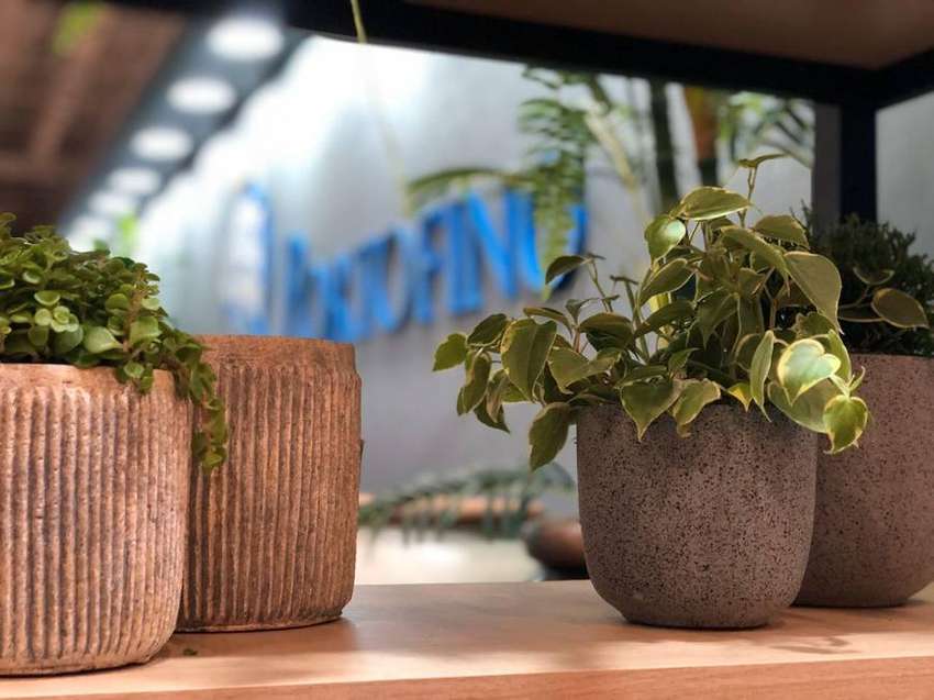 Detalhe do showroom Portofino Decor com a marca ao fundo